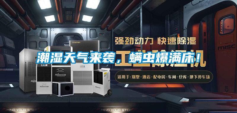 潮濕天氣來襲，螨蟲爆滿床！