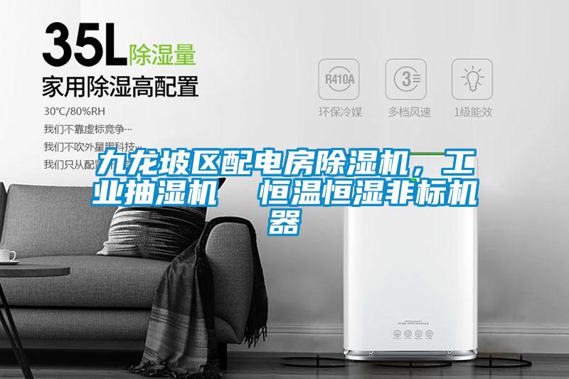 九龍坡區(qū)配電房除濕機(jī)，工業(yè)抽濕機(jī)  恒溫恒濕非標(biāo)機(jī)器