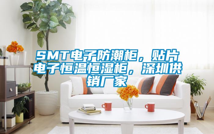 SMT電子防潮柜，貼片電子恒溫恒濕柜，深圳供銷廠家