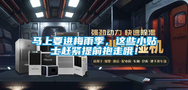 馬上要進(jìn)梅雨季，這些小貼士趕緊提前抱走哦！