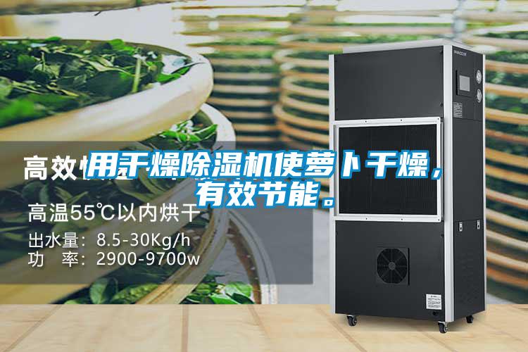 用干燥除濕機使蘿卜干燥，有效節(jié)能。