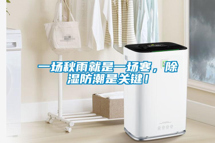 一場秋雨就是一場寒，除濕防潮是關鍵！