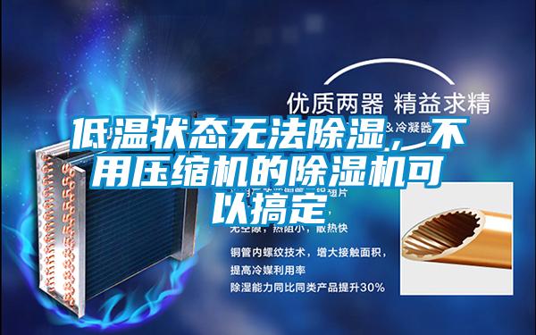 低溫狀態(tài)無法除濕，不用壓縮機的除濕機可以搞定