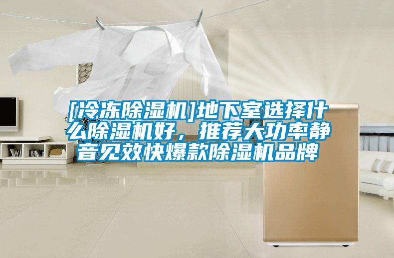 [冷凍除濕機]地下室選擇什么除濕機好，推薦大功率靜音見效快爆款除濕機品牌