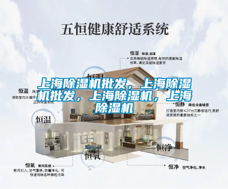 上海除濕機批發(fā)，上海除濕機批發(fā)，上海除濕機，上海除濕機
