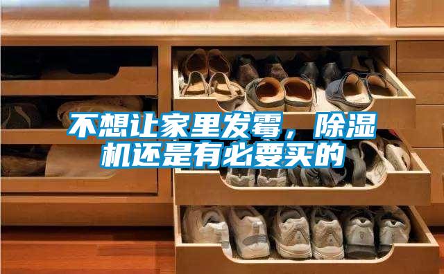 不想讓家里發(fā)霉，除濕機(jī)還是有必要買的