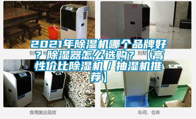 2021年除濕機(jī)哪個(gè)品牌好？除濕器怎么選購？【高性價(jià)比除濕機(jī)／抽濕機(jī)推薦】