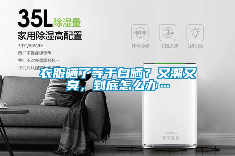 衣服曬了等于白曬？又潮又臭，到底怎么辦…