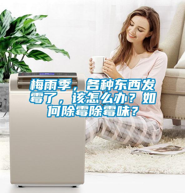 梅雨季，各種東西發(fā)霉了，該怎么辦？如何除霉除霉味？