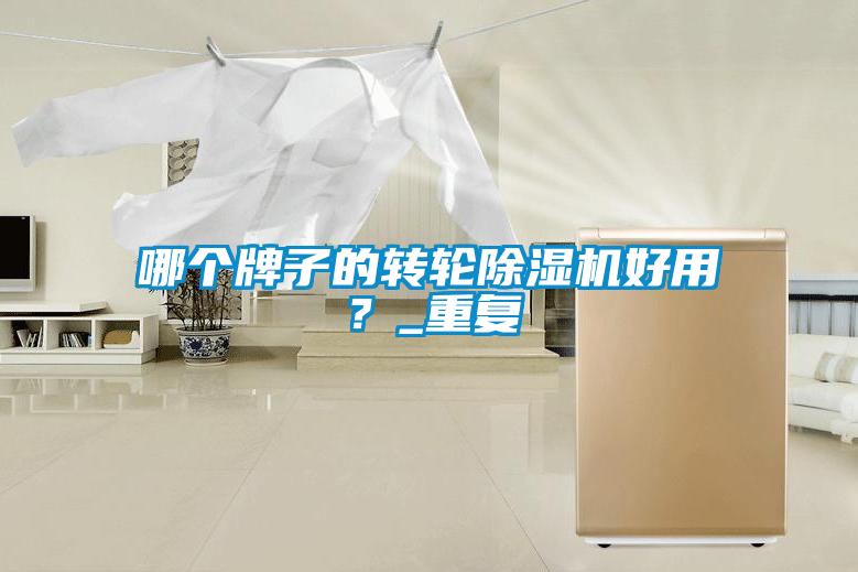 哪個牌子的轉(zhuǎn)輪除濕機好用？_重復(fù)