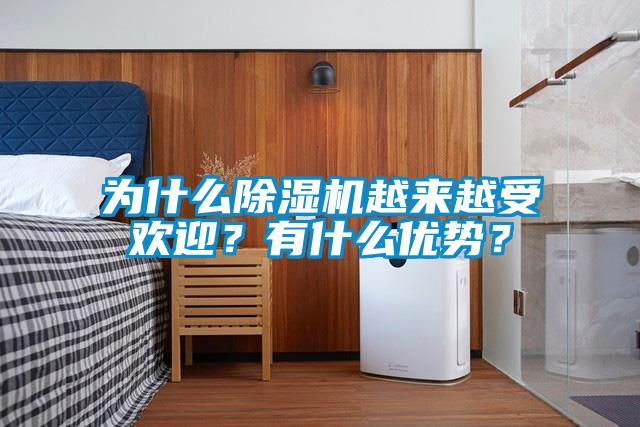 為什么除濕機(jī)越來越受歡迎？有什么優(yōu)勢？