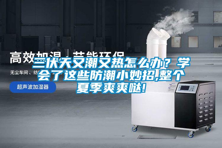 三伏天又潮又熱怎么辦？學(xué)會(huì)了這些防潮小妙招,整個(gè)夏季爽爽噠!