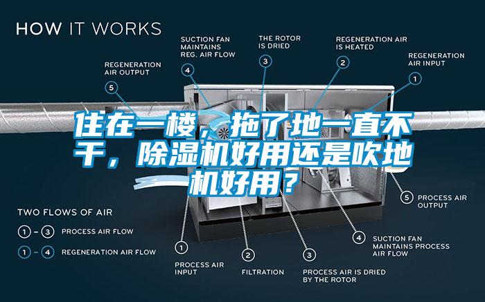 住在一樓，拖了地一直不干，除濕機(jī)好用還是吹地機(jī)好用？