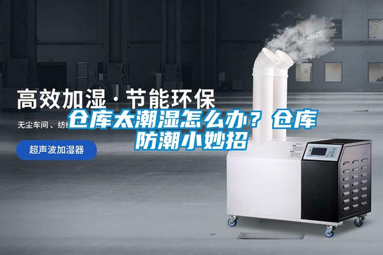 倉(cāng)庫(kù)太潮濕怎么辦？倉(cāng)庫(kù)防潮小妙招
