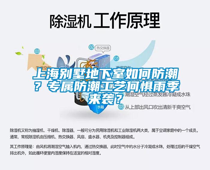 上海別墅地下室如何防潮？專屬防潮工藝何懼雨季來襲？