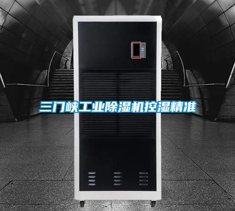 三門(mén)峽工業(yè)除濕機(jī)控濕精準(zhǔn)