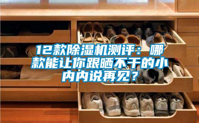 12款除濕機(jī)測(cè)評(píng)：哪款能讓你跟曬不干的小內(nèi)內(nèi)說(shuō)再見(jiàn)？