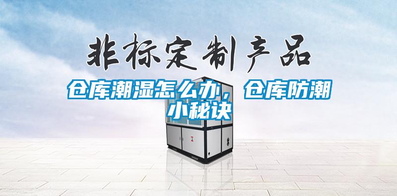 倉(cāng)庫(kù)潮濕怎么辦，倉(cāng)庫(kù)防潮小秘訣