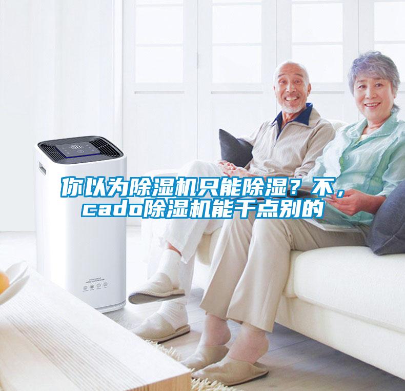 你以為除濕機(jī)只能除濕？不，cado除濕機(jī)能干點(diǎn)別的