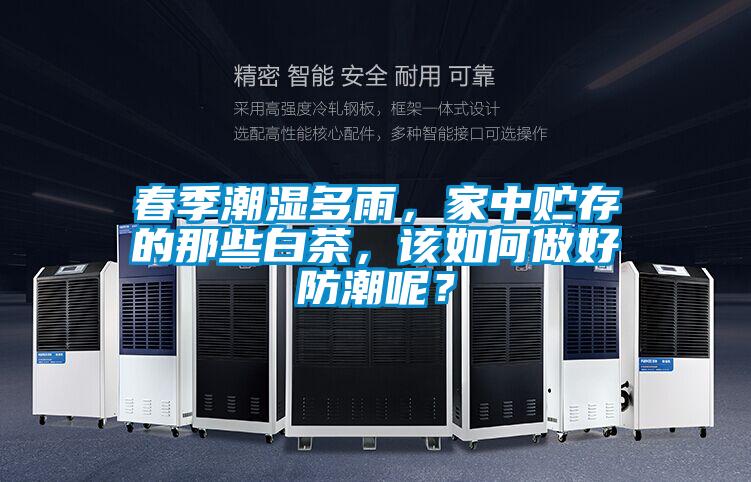 春季潮濕多雨，家中貯存的那些白茶，該如何做好防潮呢？