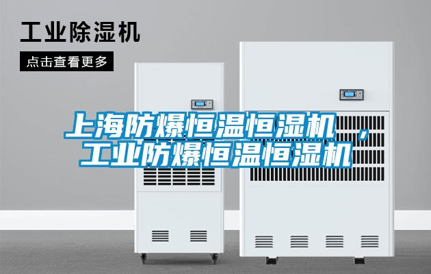 上海防爆恒溫恒濕機 ，工業(yè)防爆恒溫恒濕機