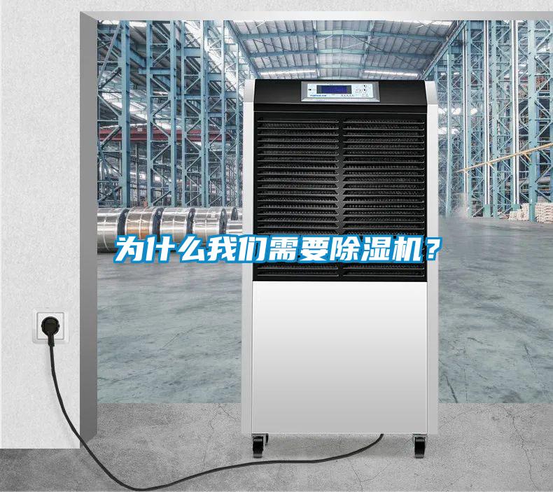 為什么我們需要除濕機？