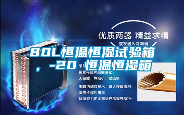 80L恒溫恒濕試驗箱，-20℃恒溫恒濕箱
