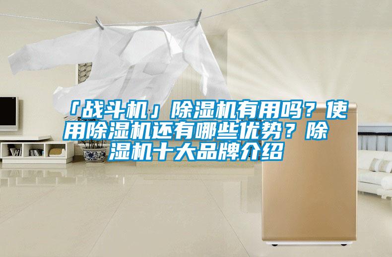 「戰(zhàn)斗機(jī)」除濕機(jī)有用嗎？使用除濕機(jī)還有哪些優(yōu)勢？除濕機(jī)十大品牌介紹