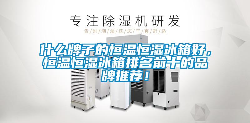 什么牌子的恒溫恒濕冰箱好，恒溫恒濕冰箱排名前十的品牌推薦！