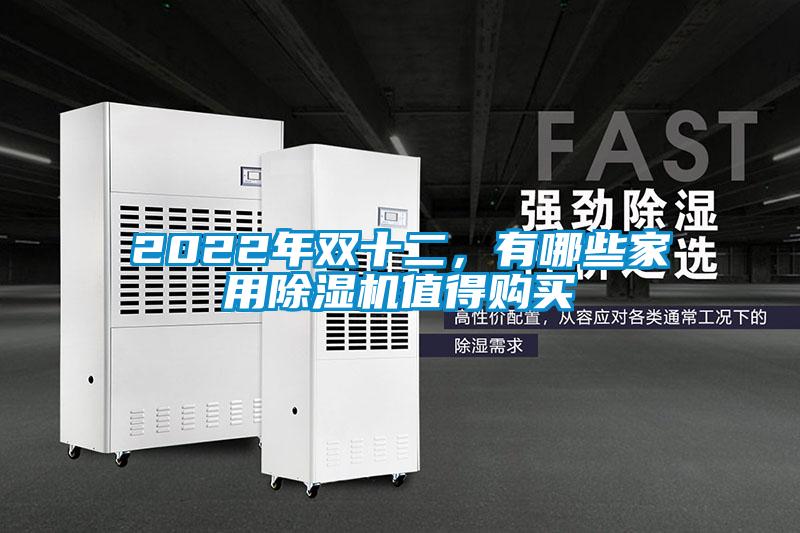 2022年雙十二，有哪些家用除濕機值得購買