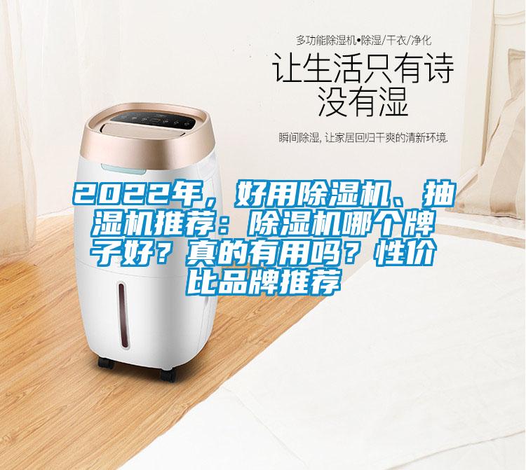 2022年，好用除濕機(jī)、抽濕機(jī)推薦：除濕機(jī)哪個牌子好？真的有用嗎？性價比品牌推薦