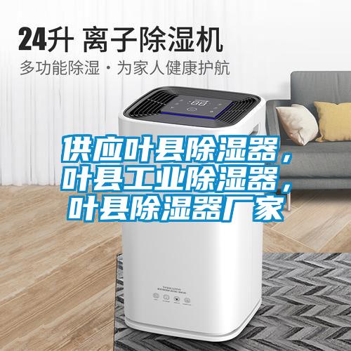 供應(yīng)葉縣除濕器，葉縣工業(yè)除濕器，葉縣除濕器廠家