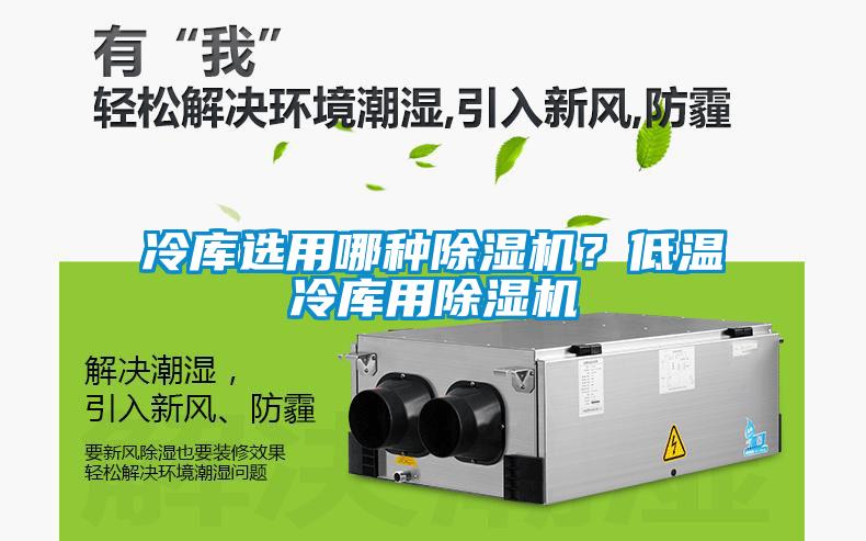 冷庫選用哪種除濕機？低溫冷庫用除濕機