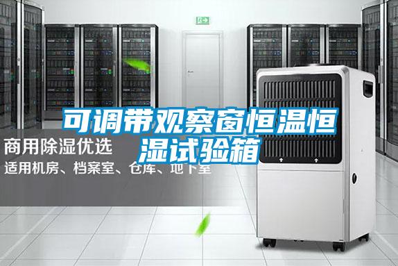 可調(diào)帶觀(guān)察窗恒溫恒濕試驗(yàn)箱