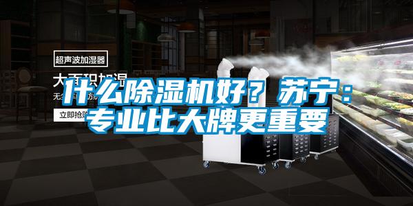 什么除濕機(jī)好？蘇寧：專(zhuān)業(yè)比大牌更重要