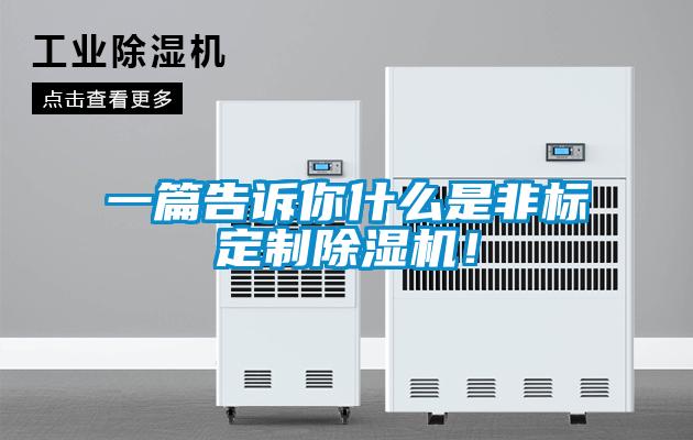 一篇告訴你什么是非標(biāo)定制除濕機(jī)！