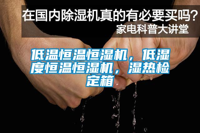 低溫恒溫恒濕機(jī)，低濕度恒溫恒濕機(jī)，濕熱檢定箱