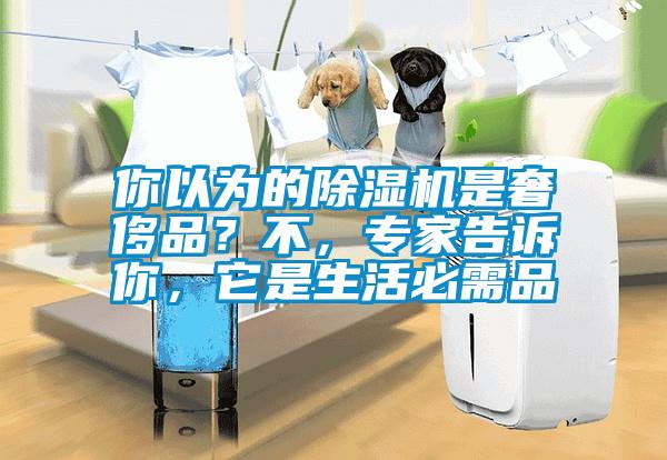 你以為的除濕機是奢侈品？不，專家告訴你，它是生活必需品