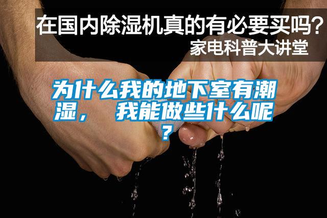 為什么我的地下室有潮濕， 我能做些什么呢？