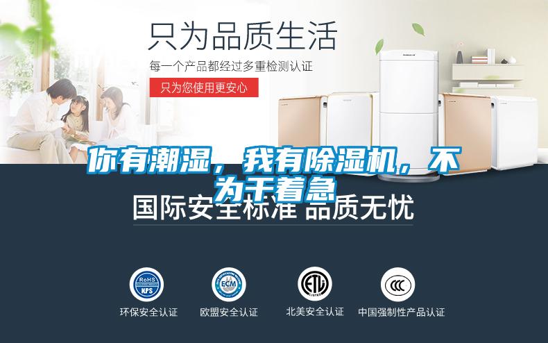 你有潮濕，我有除濕機(jī)，不為干著急