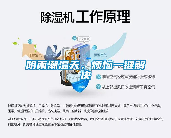 陰雨潮濕天，煩惱一鍵解決