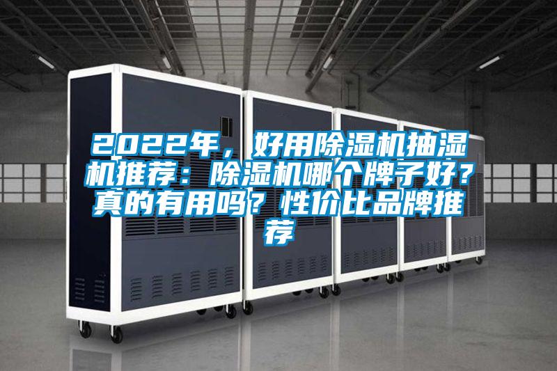 2022年，好用除濕機(jī)抽濕機(jī)推薦：除濕機(jī)哪個(gè)牌子好？真的有用嗎？性價(jià)比品牌推薦