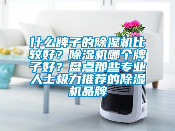 什么牌子的除濕機(jī)比較好？除濕機(jī)哪個(gè)牌子好？盤點(diǎn)那些專業(yè)人士極力推薦的除濕機(jī)品牌