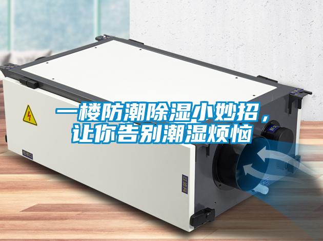 一樓防潮除濕小妙招，讓你告別潮濕煩惱
