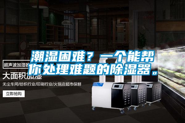 潮濕困難？一個(gè)能幫你處理難題的除濕器。