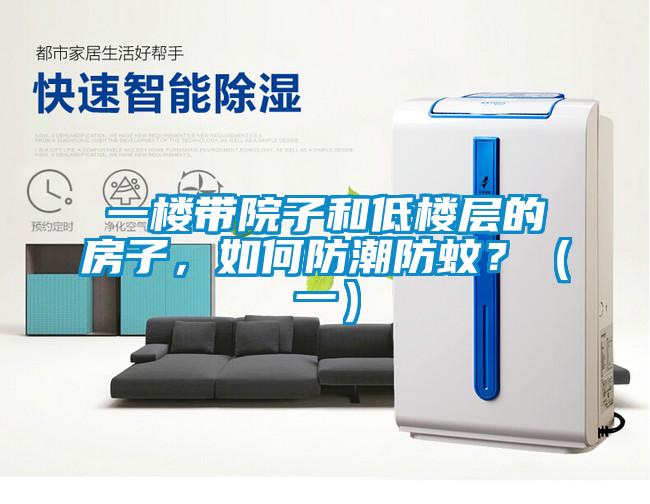一樓帶院子和低樓層的房子，如何防潮防蚊？（一）