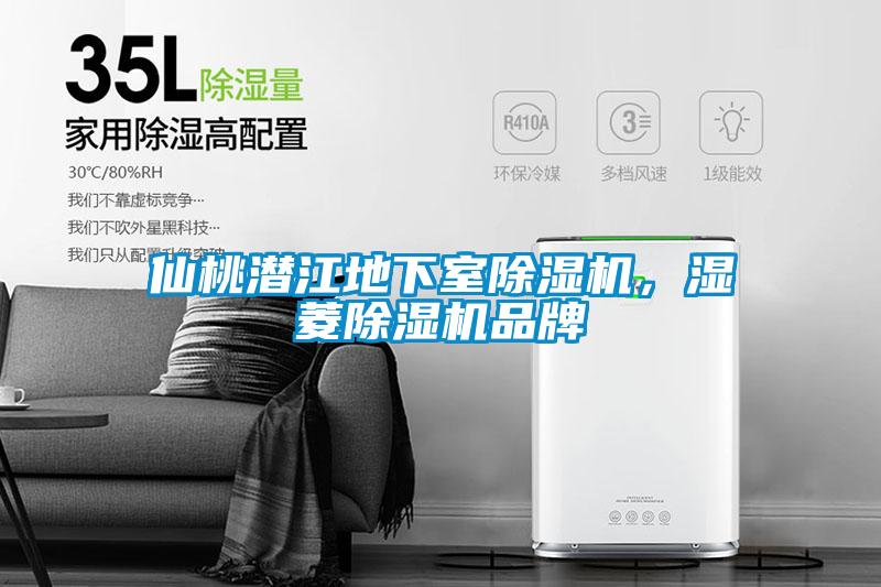 仙桃潛江地下室除濕機，濕菱除濕機品牌