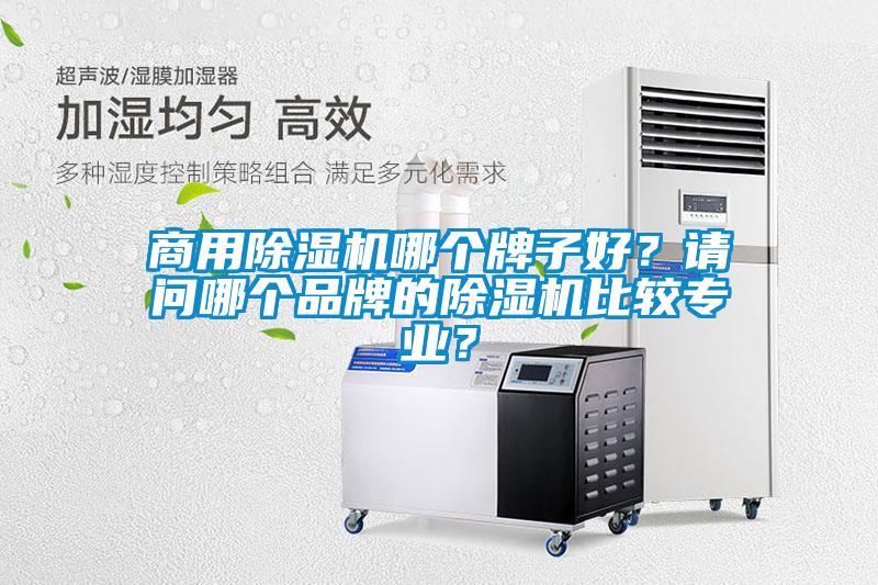 商用除濕機(jī)哪個牌子好？請問哪個品牌的除濕機(jī)比較專業(yè)？