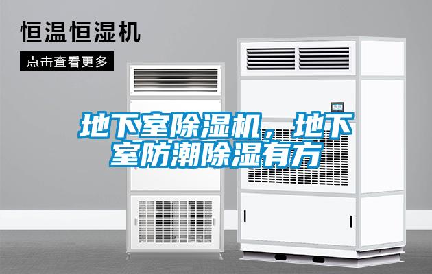 地下室除濕機(jī)，地下室防潮除濕有方