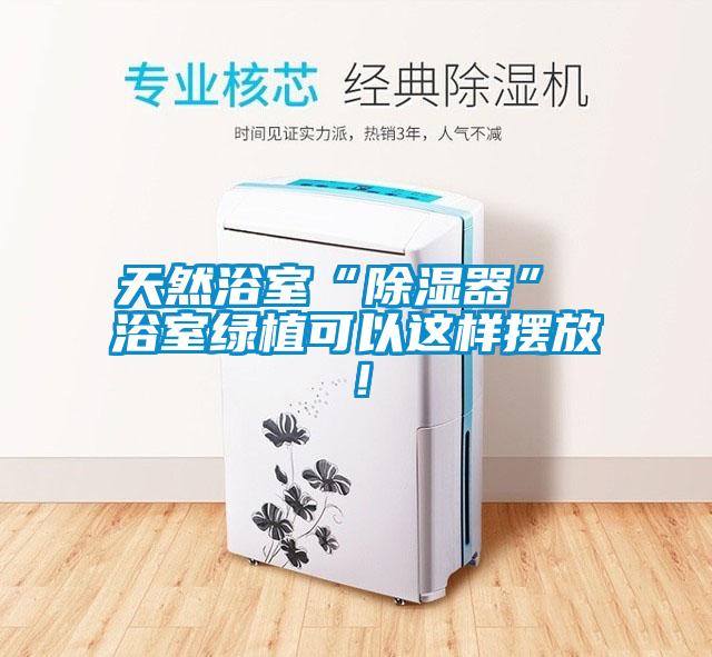 天然浴室“除濕器” 浴室綠植可以這樣擺放！